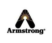 (gu)ķ˹ArmstrongyT(mn)